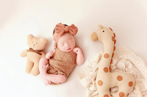 冷水江宝宝虾的做法